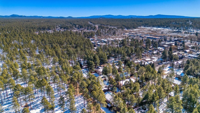 002_photo2_1460_adair_6_pinetop_lansten_