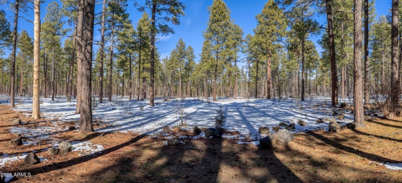025_photo25_1460_adair_6_pinetop_lansten