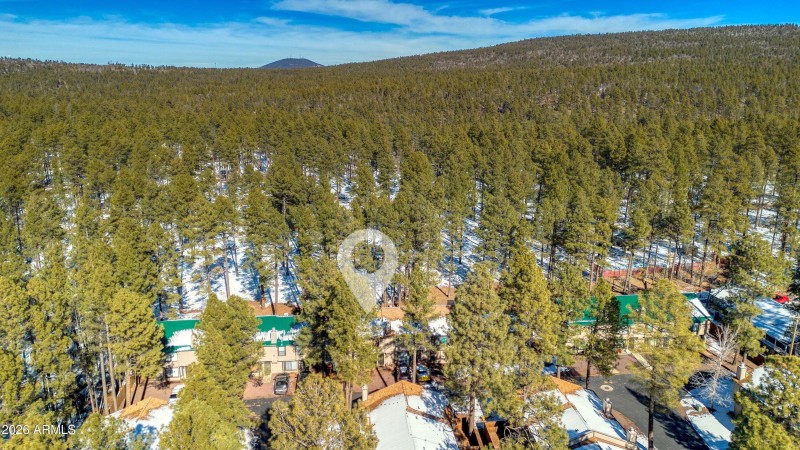 027_photo27_1460_adair_6_pinetop_lansten