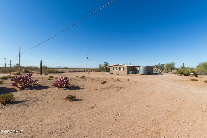 04 - Saguaro