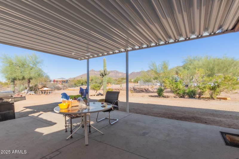 25 - Saguaro