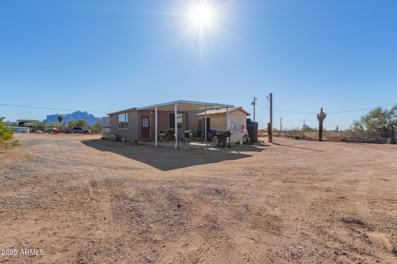 27 - Saguaro