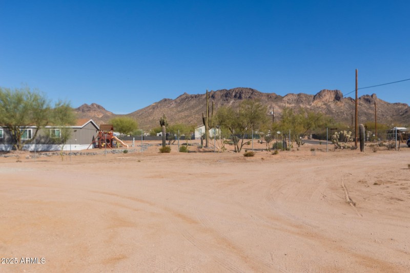 28 - Saguaro