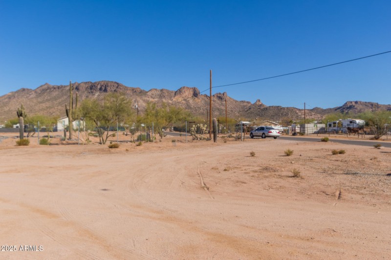 29 - Saguaro