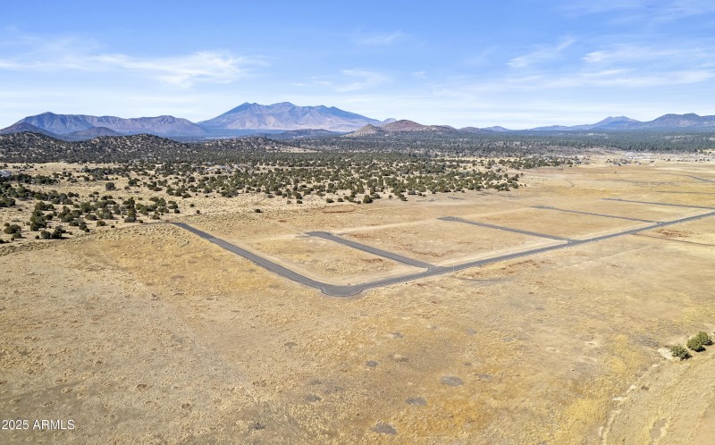 DJI_0003