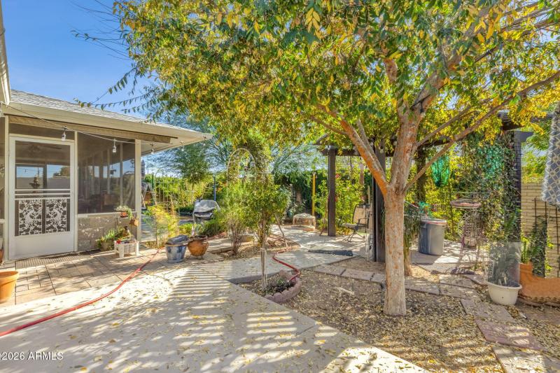 Backyard