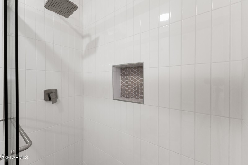 Primary Shower