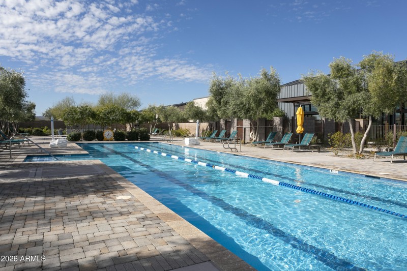 Lap Pool