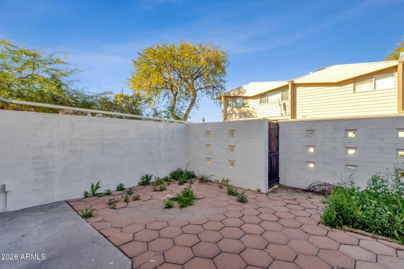 Patio Yard