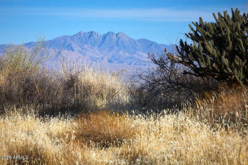 MTNS 3