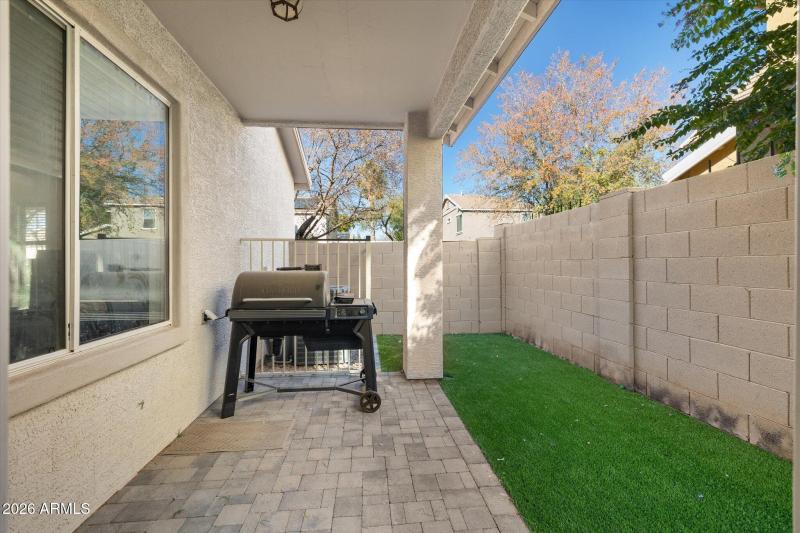 back yard