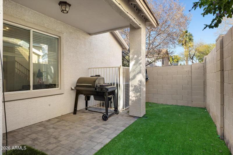 back yard