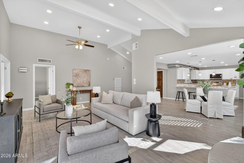 Vaulted Living Room