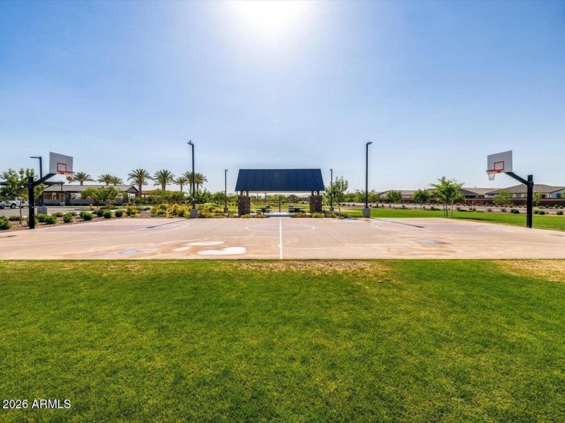 Basketball Court