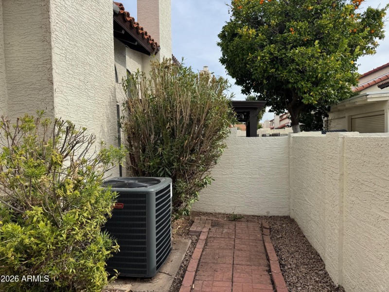 Back patio