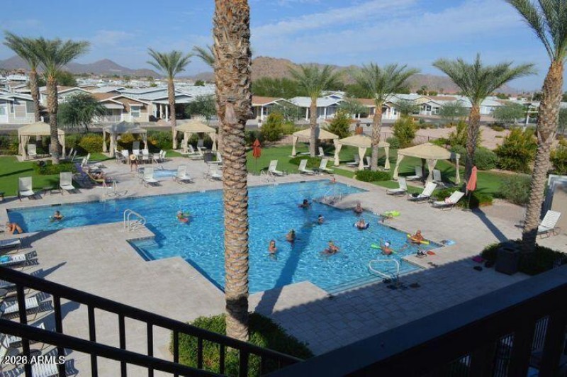 vp new pool