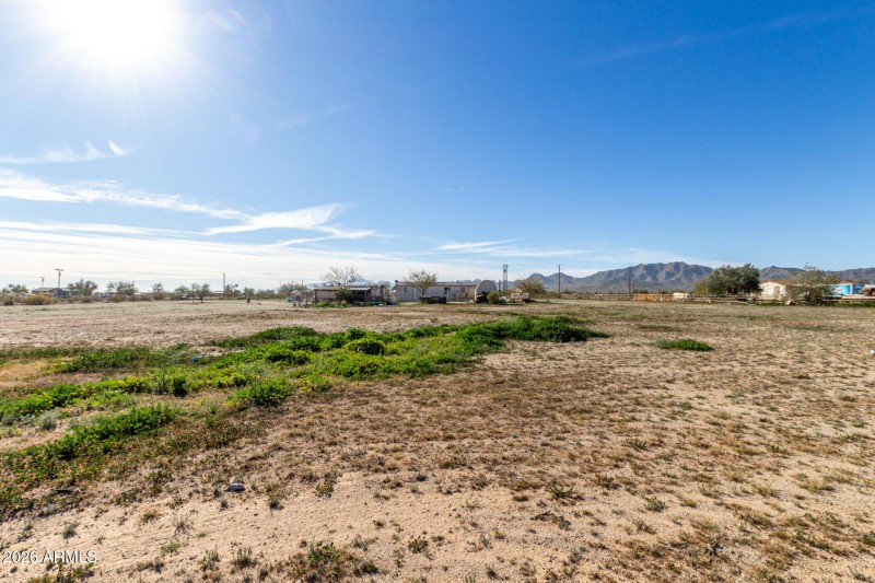 09 Organ Pipe