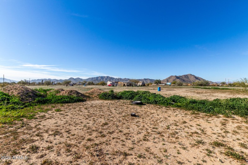 10 Organ Pipe