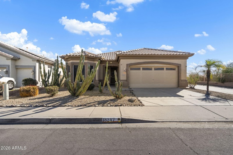 Desert Landscaping
