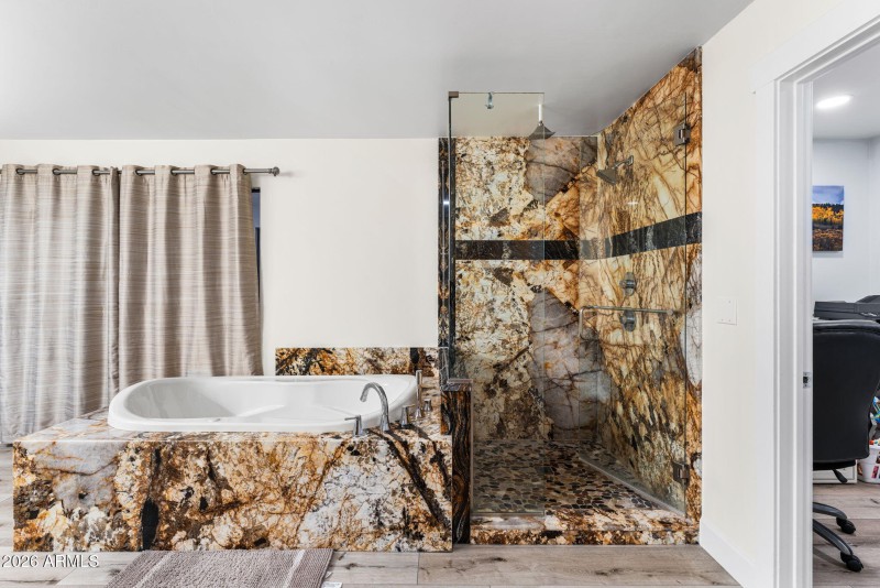 Master Shower/Tub