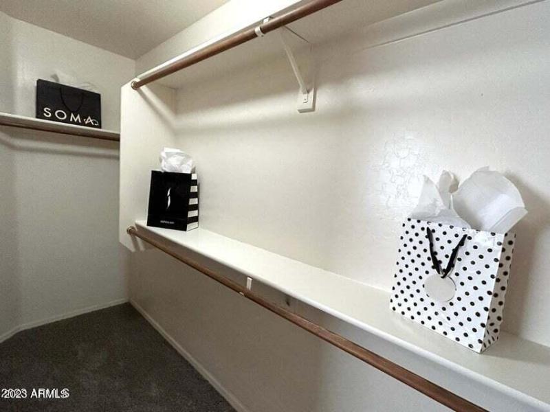 primary walk in closet