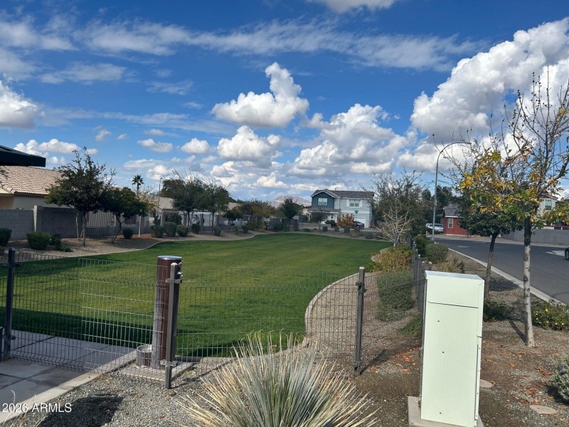 Dog Park