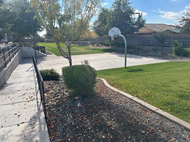 Basketball Court