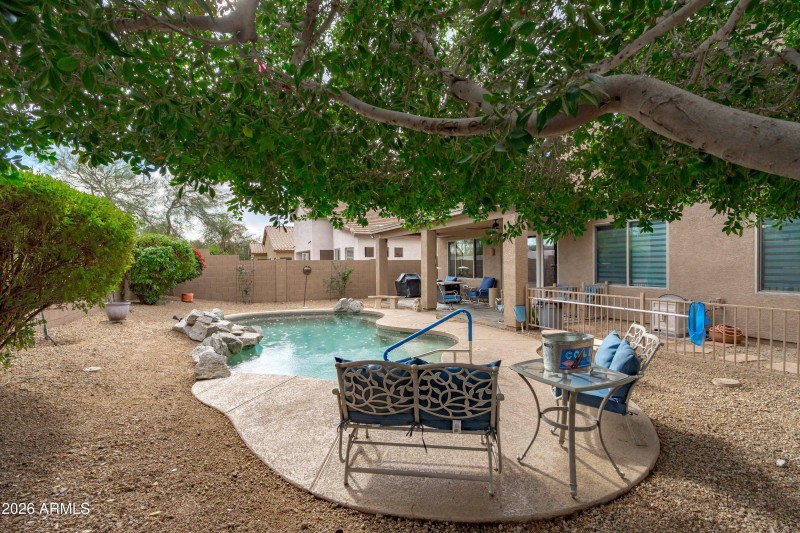 46-Backyard View