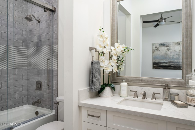 Guest Bathroom 3