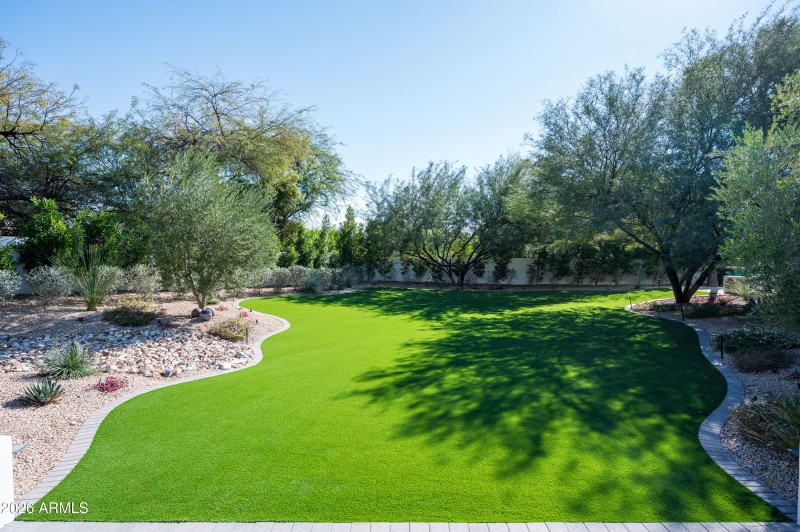 Massive Artificial Turf Space