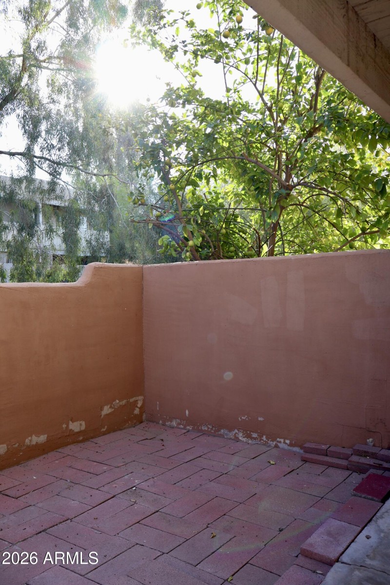 Back patio 2