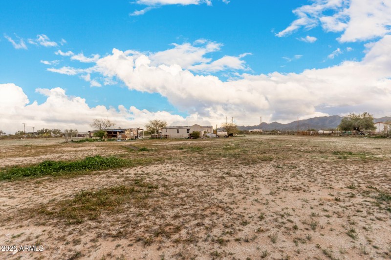 38 - Organ Pipe 54194