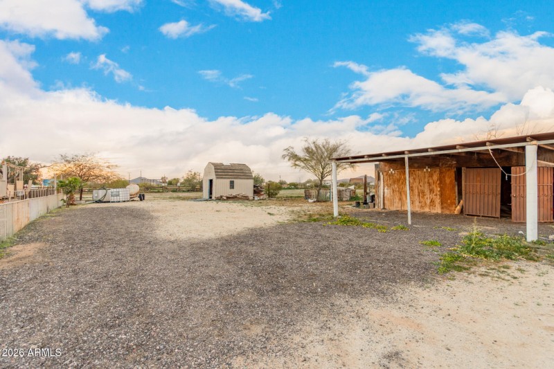 41 - Organ Pipe 54194