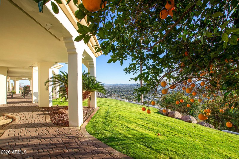 EVEN FRUIT TREES