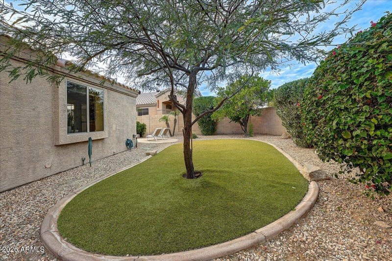 Side Yard