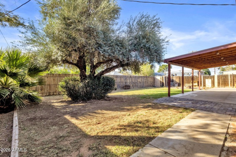 Backyard