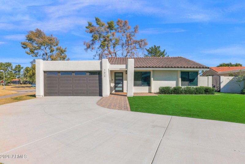 31-web-or-mls-P1460261