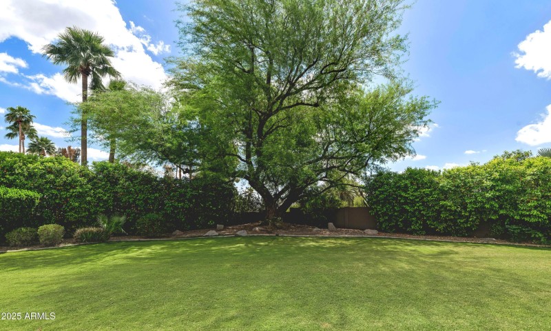 Lush Grounds