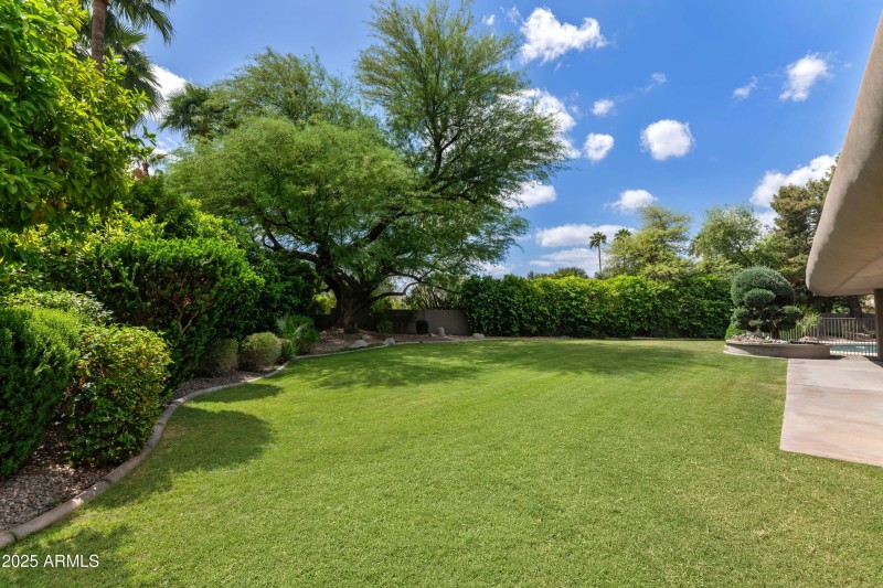 Side Yard