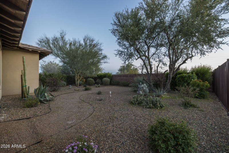 39) BACKYARD