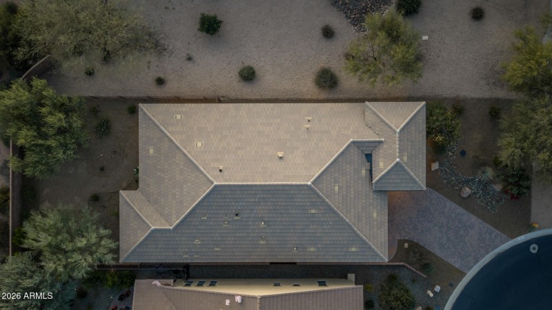42) BACKYARD