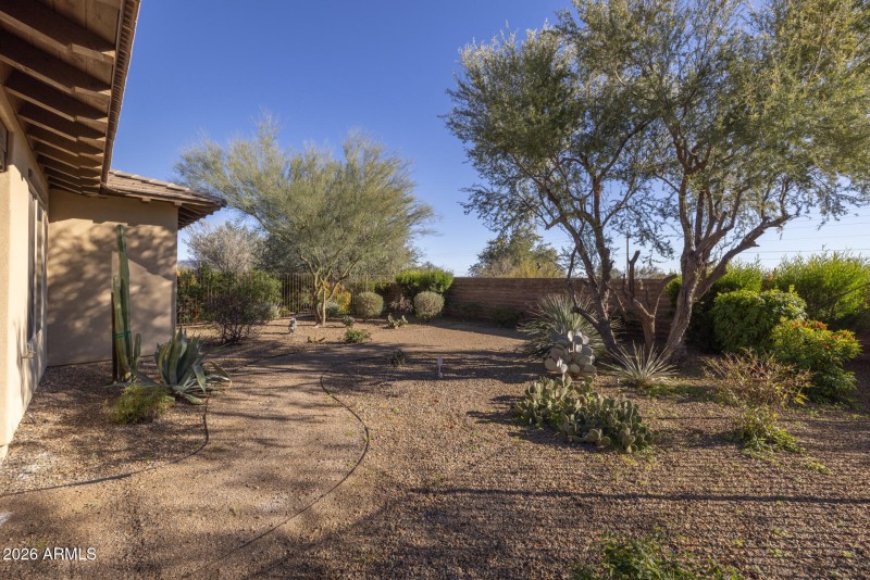 49) BACKYARD