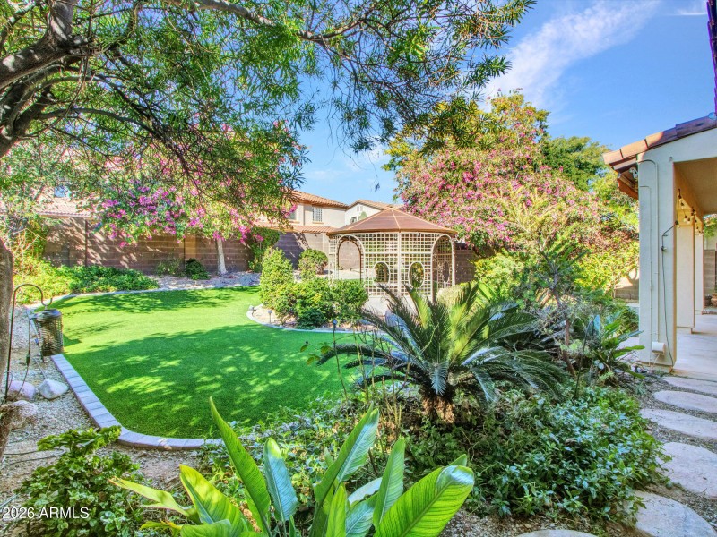 Lush Backyard