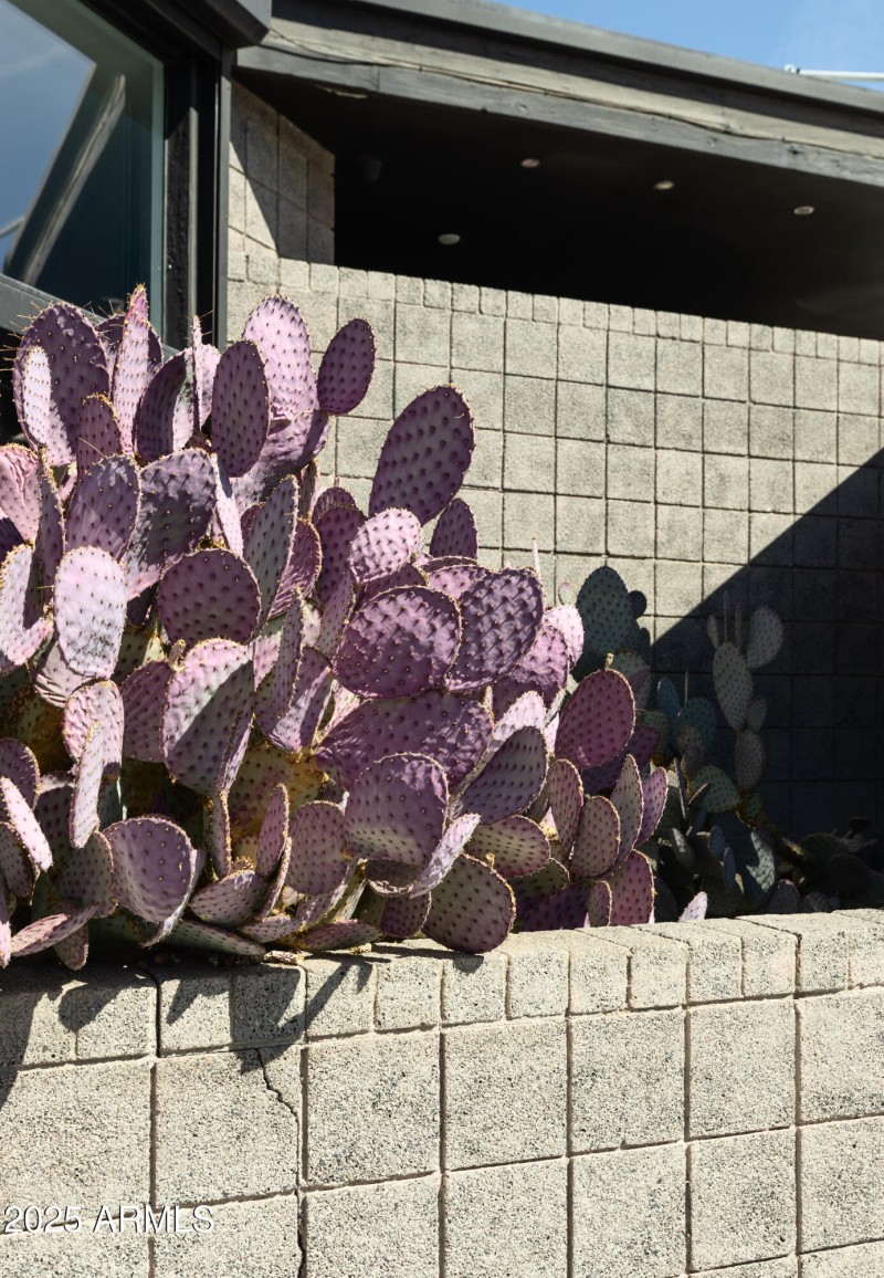 67