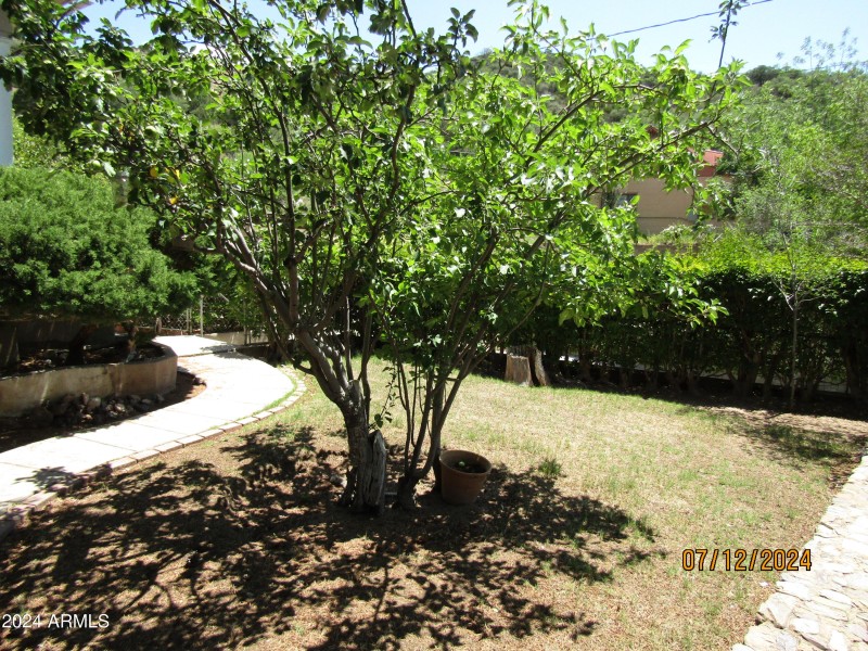 level 2 yard 2