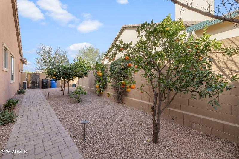 240-Backyard