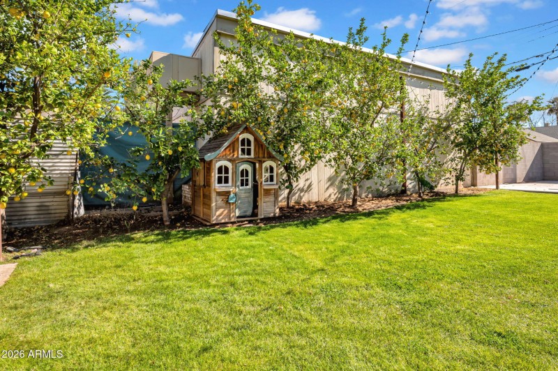 Backyard
