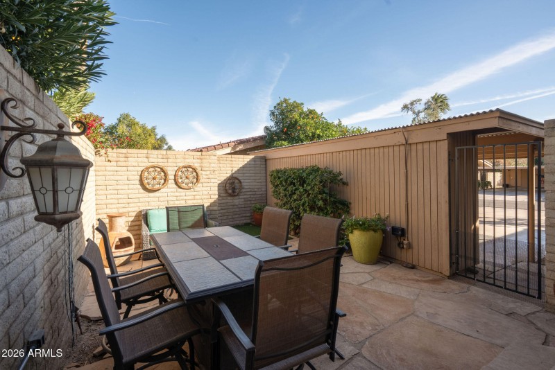 Backyard