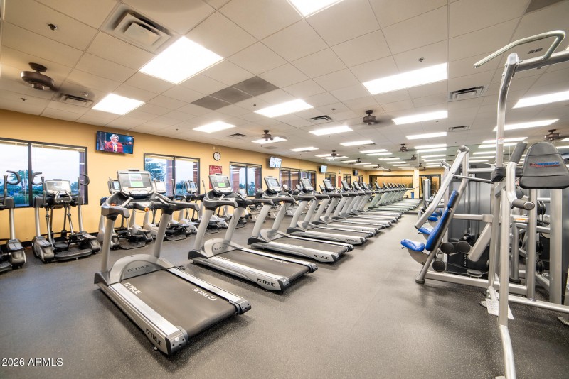 Gym