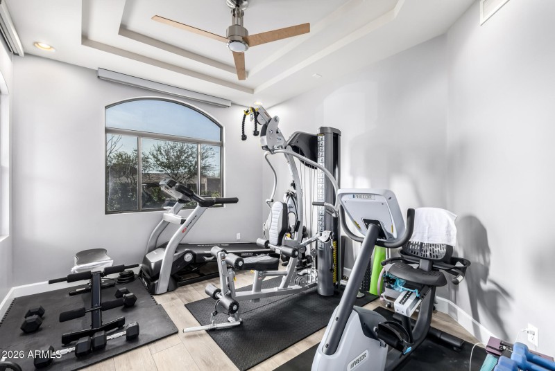 gym/den/office